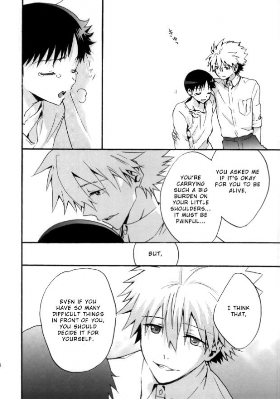 (C85) [RAYTREC (Fuyunagi Reku)] Rakuen yori - From Eden (Neon Genesis Evangelion) [Eng_22