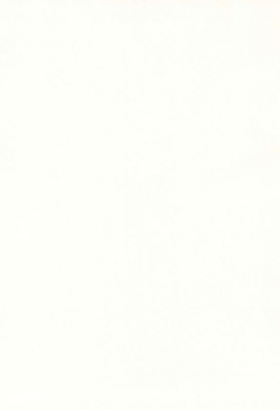 (C61) [RIN-RIN (RINRIN)] Momoiro no Onpu (Ojamajo Doremi)_03