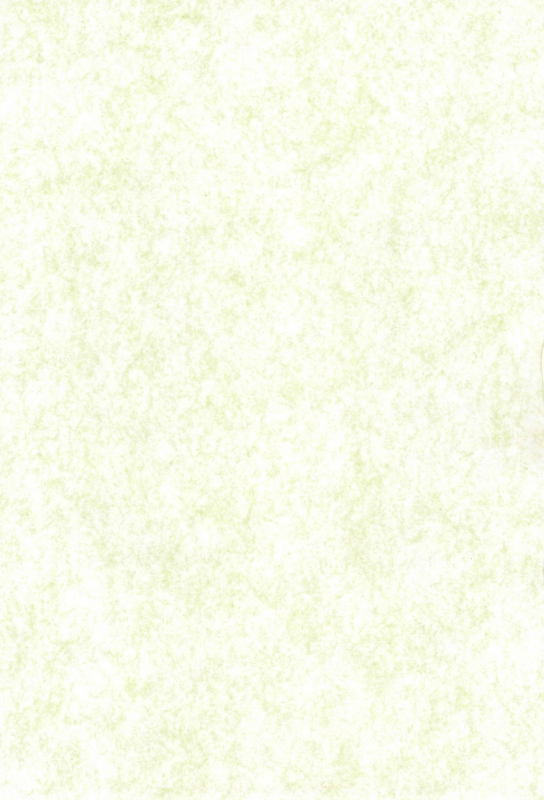 (C62) [Sanore (Yuyu)] Sairoku (Digimon)_02