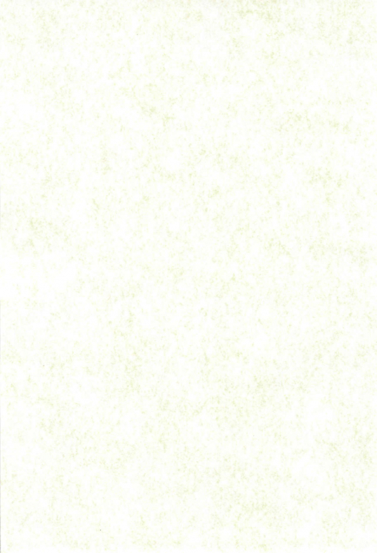 (C62) [Sanore (Yuyu)] Sairoku (Digimon)_03