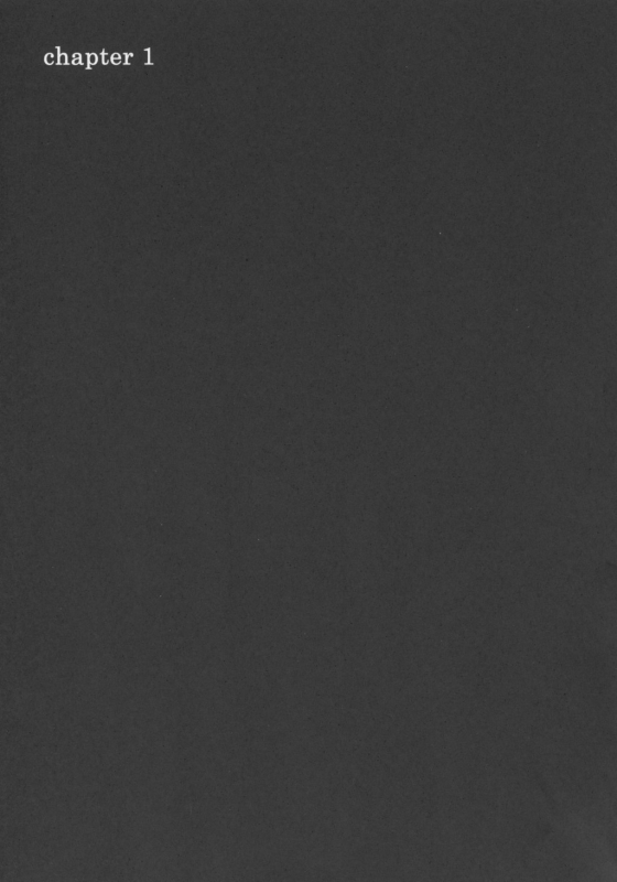 (C63) [CYCLONE (Izumi, Reizei)] Centris (Magic Knight Rayearth)_05