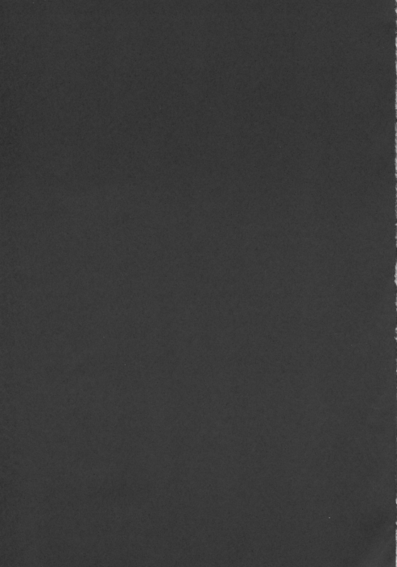 (C63) [CYCLONE (Izumi, Reizei)] Centris (Magic Knight Rayearth)_89