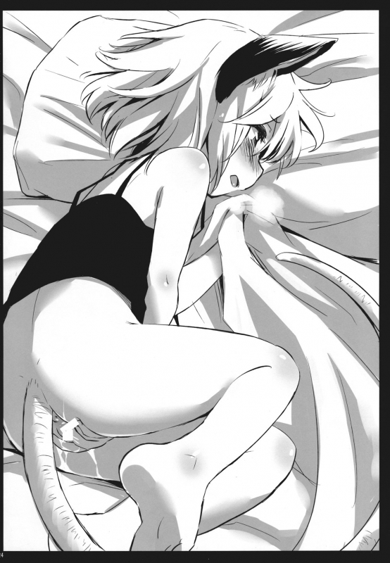 (C86) [Animal Passion (Yude Pea)] Tanuki Yamabiko J_22