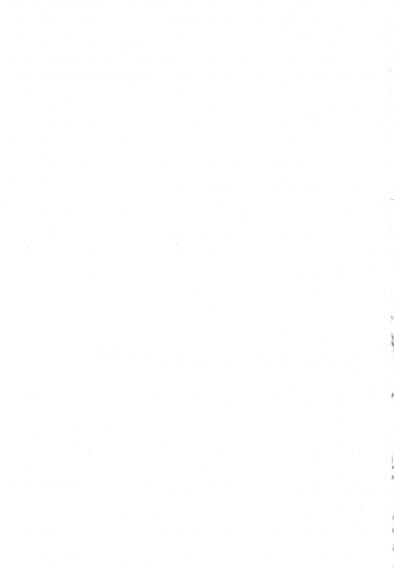 (C86) [Green Ketchup (Zhen Lu)] No-Rin Bokujou e Youkoso!  Welcome To Nourin Farm! _31