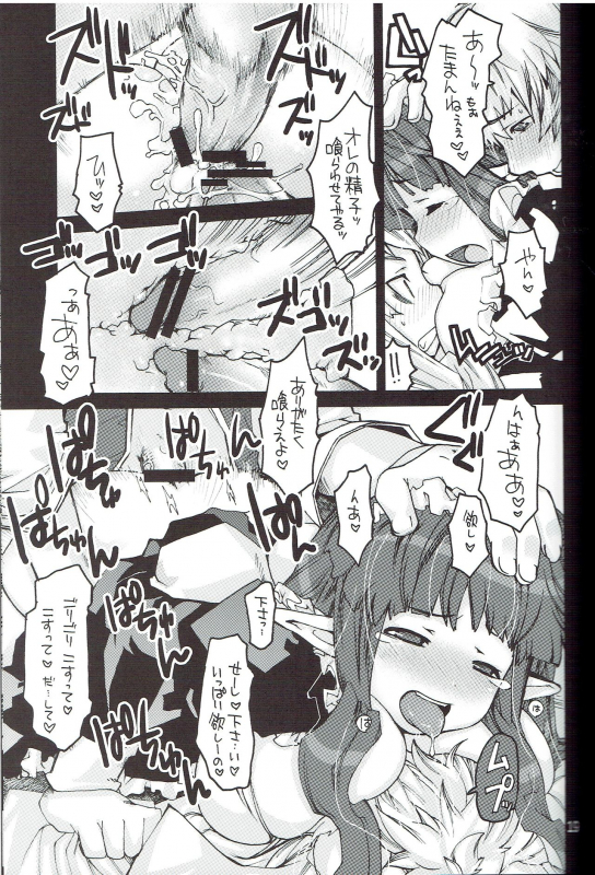 (C71) [Seinansei ni Kagayakeru Hoshi (Morino Papiko)] Ragnarok Yawa Level.9 (Ragnarok Online)_15