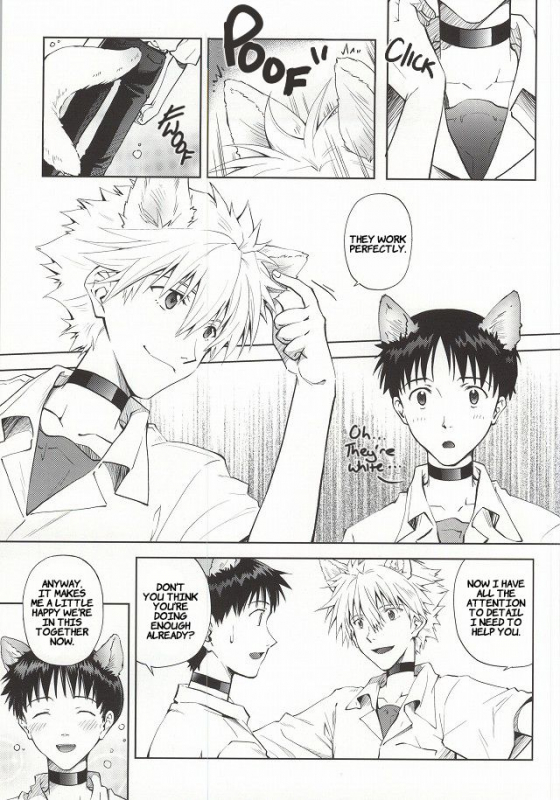 (C87) [Getsumen-Spiral (Mayama Satori)] Wanko na Kareshi Otonamuke (Neon Genesis Evangelion) _03