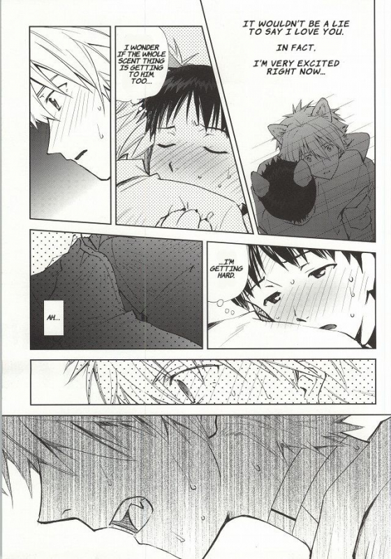 (C87) [Getsumen-Spiral (Mayama Satori)] Wanko na Kareshi Otonamuke (Neon Genesis Evangelion) _09