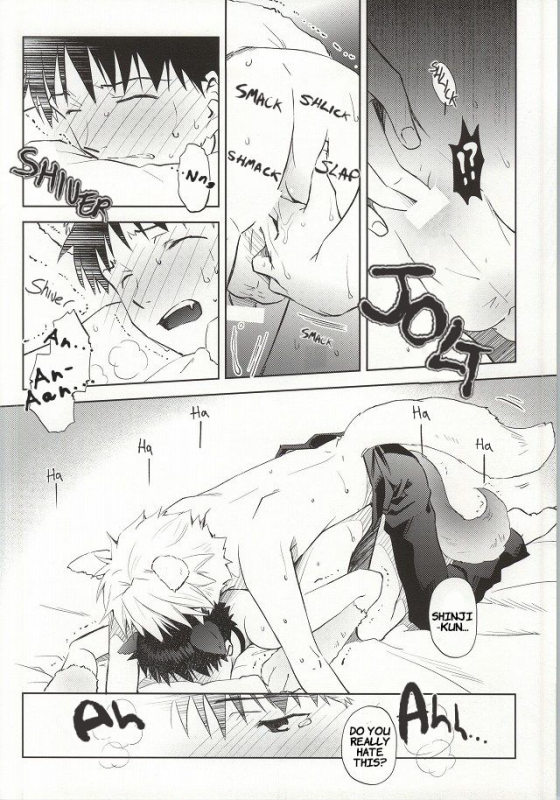 (C87) [Getsumen-Spiral (Mayama Satori)] Wanko na Kareshi Otonamuke (Neon Genesis Evangelion) _16