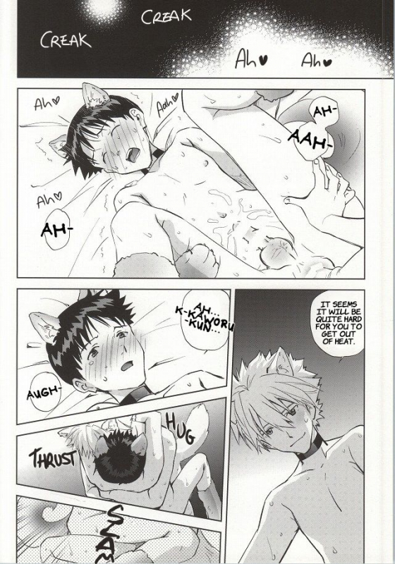 (C87) [Getsumen-Spiral (Mayama Satori)] Wanko na Kareshi Otonamuke (Neon Genesis Evangelion) _34