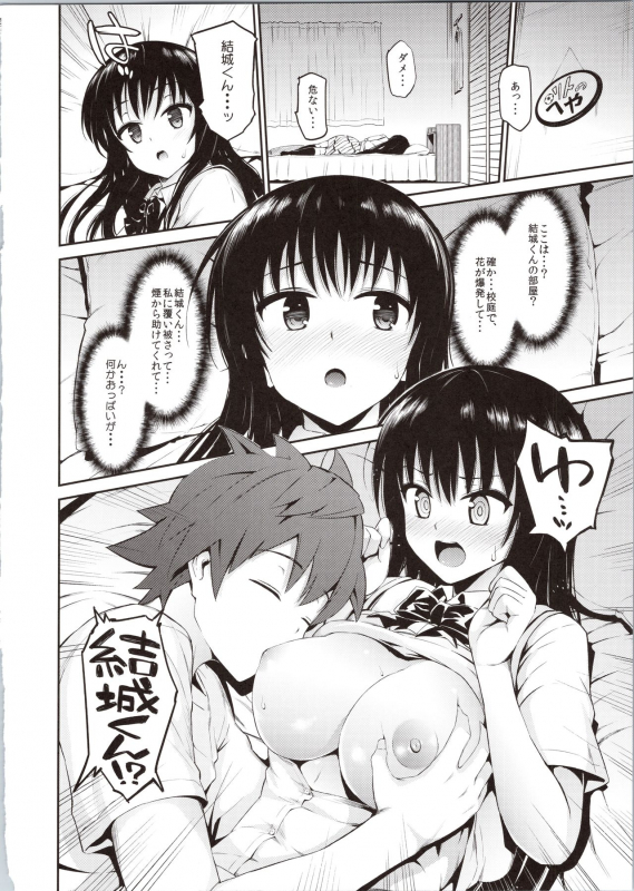 (C86) [Morimiyakan (Morimiya Masayuki)] Hana no Toriko (To LOVE-Ru)_03