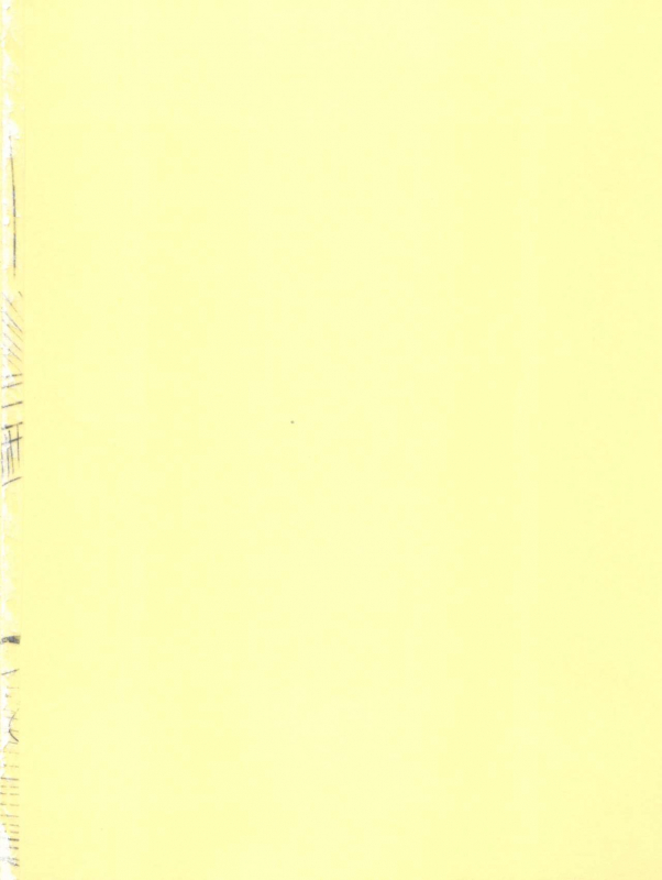 (C90) [Puchi-ya (Hoshino Fuuta)] Makiba no Shoujo-chan (Katri, Girl of the Meadows)_01