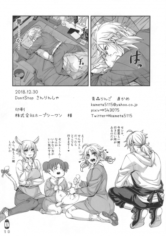 (C95) [Aomori Ringo (Naokame)] Don't Stop Sanrinsha (Final Fantasy)_18