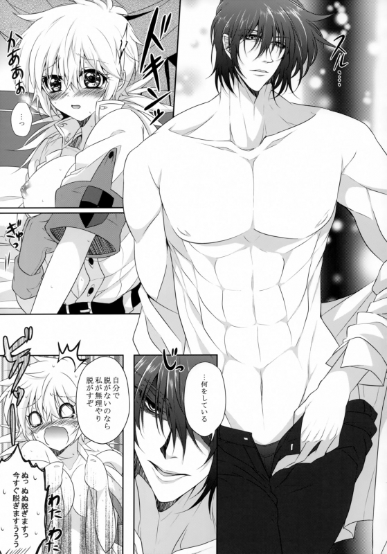 (C95) [S.clock+ (Kurobe Tomo)] Bloody Soul Lover 2 (Hellsing)_009