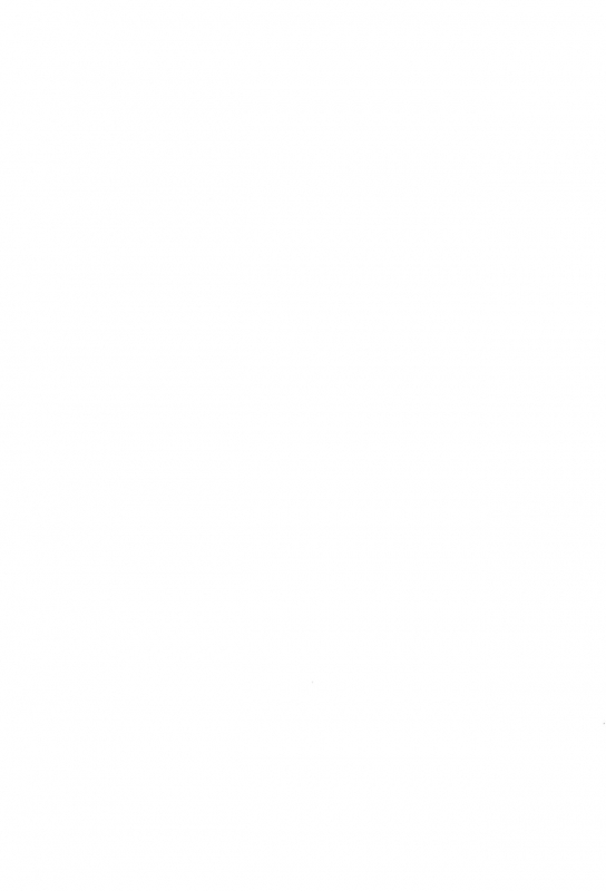 (C95) [Sutorobokonbu (Darius-kun)] Usagi Pouch 1 & 2_36