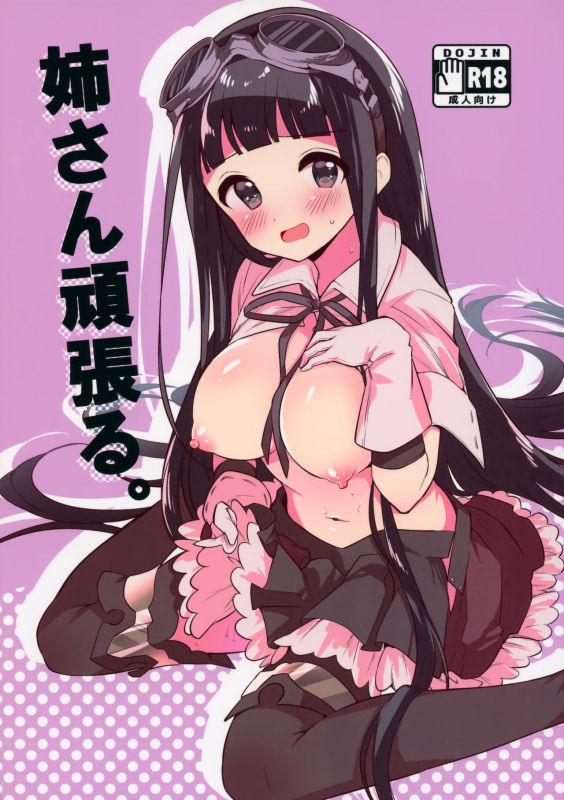 (C96) [Hoshimitai (Kaede)] Onee-san Ganbaru. (Granblue Fantasy)_00