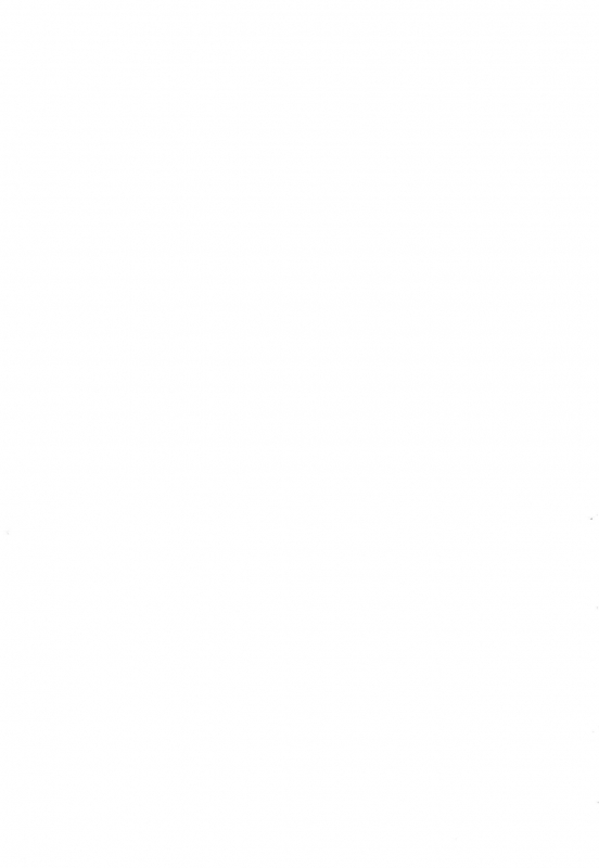 (C96) [Okosama Lunch (Nishinozawa Kaorisuke)] Mei to Beach de if_14