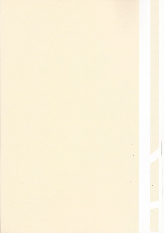 (C96) [SCP-MiO (Yuno Shigure)] Miz☆Lili (Pokémon Sun and Moon)_25