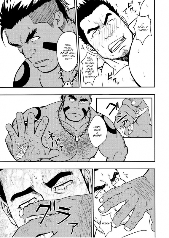 (C91) [RYCANTHROPY (Mizuki Gai)] LOW TRIBE [English]_15