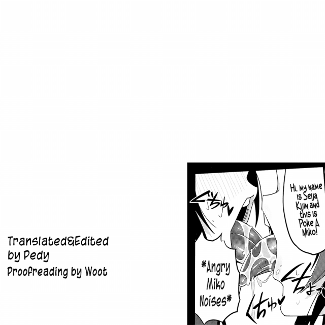 (C91) [Sakurai Dai Energy (Sakurai Energy)] Reverse×Reverse (Touhou Project) [English] [Pedy]_23