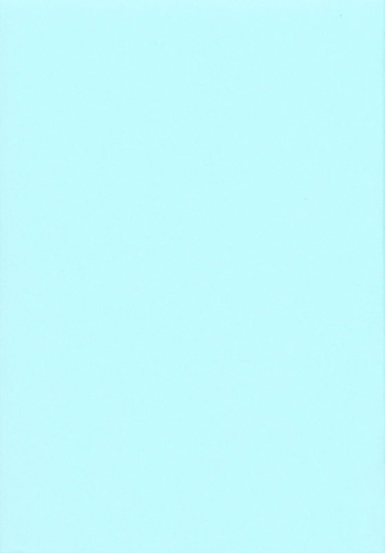 (C97) [Akusei-Shinseibutsu (Nori)] DYNAMAX XXX (Pokémon Sword and Shield)_01