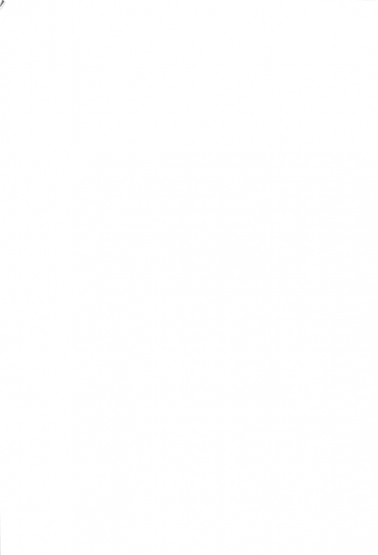 (C92) [SEVENTHSTAR (59)] Kagamine Len x Rin Seijin Muke Sairokushuu _02