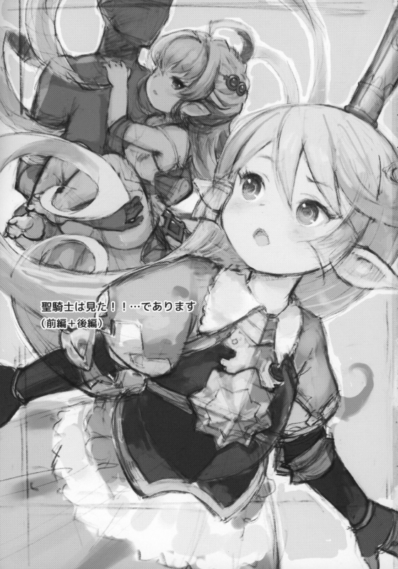 (C97) [CrawlNest (Eine)] Seikishi wa Mita!! ...de Arimasu (Granblue Fantasy)_01