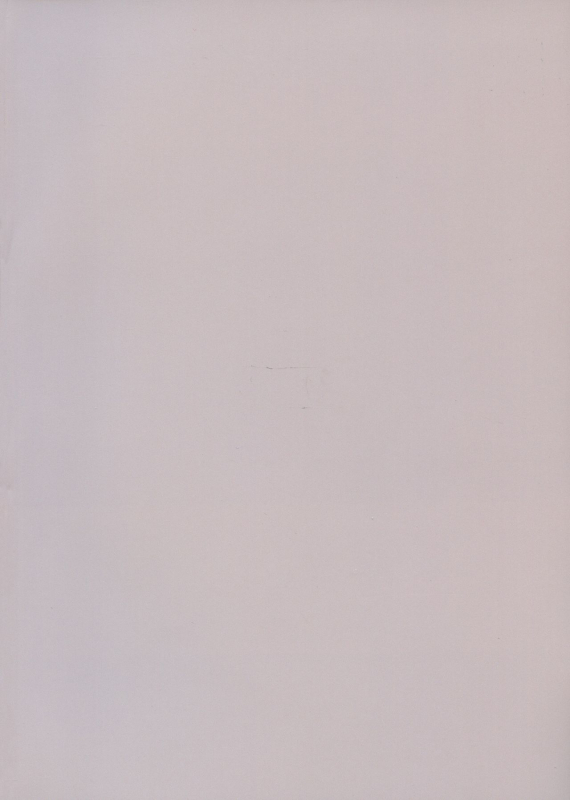 (C92) [hanibi land (hanibi)] Astolfo to Yoru no Chaldea (FateGrand Order) [English] [EHCOVE]_17