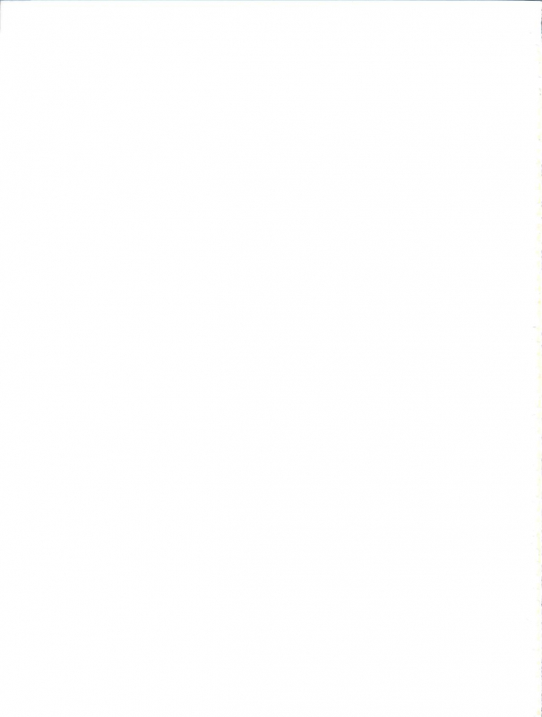 (C93) [Brain Dead (Eiji)] SeFri sae Ireba Ii. (Imouto sae Ireba Ii.) [English] [NanaNoOuji]_34