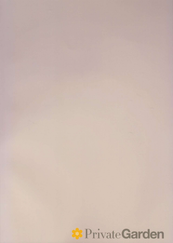 (C93) [Private Garden (Tsurusaki Takahiro)] Illustrious Shabaora (Azur Lane) [English] [CrowKara_01