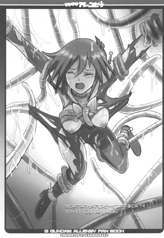 (C97) [Kanidouraku (Kanibasami)] DG VS Allenby (G Gundam)_13