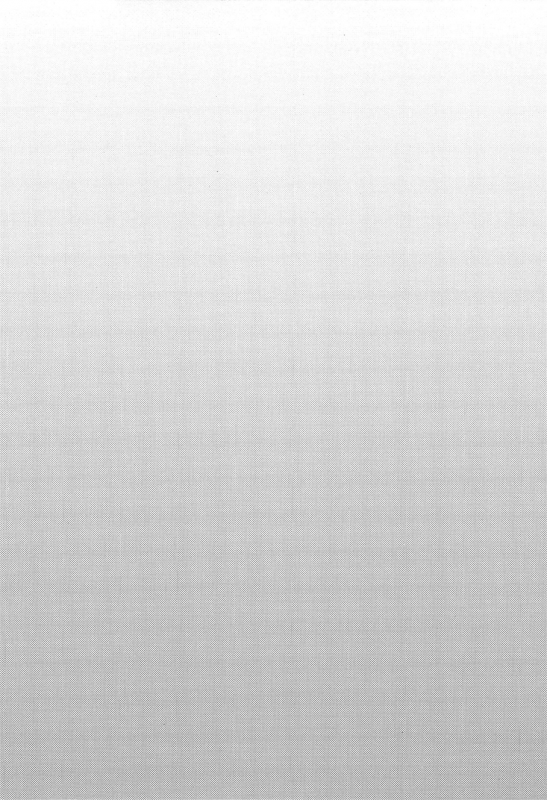 (C97) [Kingyo Origin (Kayama Rim)] Shiyounin no Kyuujitsu (Touhou Project)_02