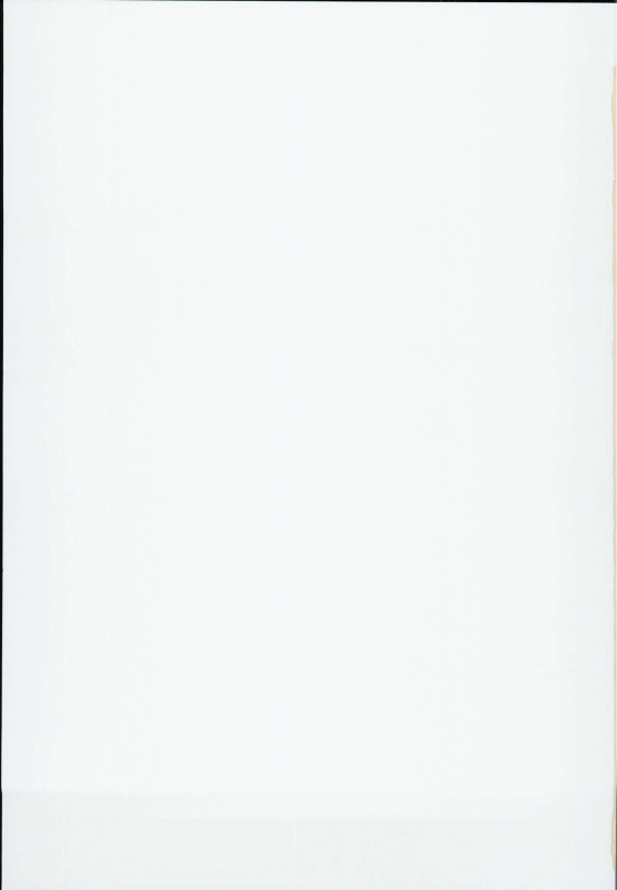 (C94) [CHARAN PORAN (Nekono Matatabi)] Arisu & Fumika S_26