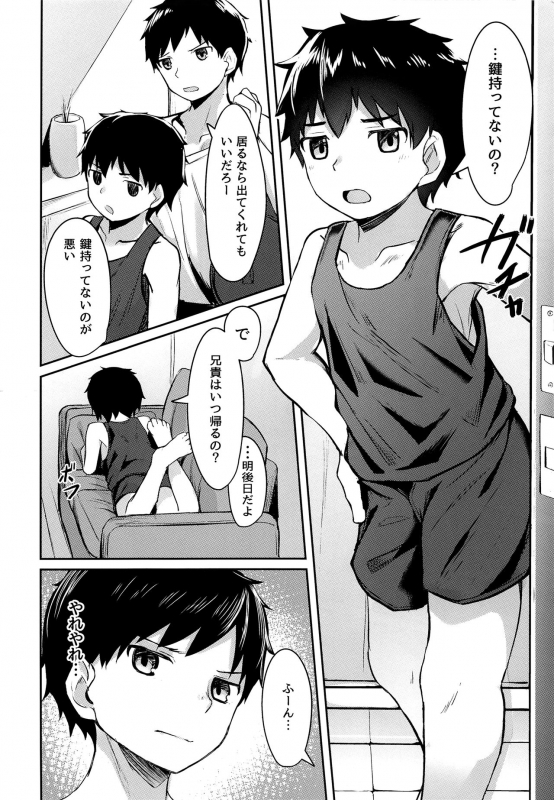 (C97) [Nisankatanso (Nayoshi)] Seikouhou_02