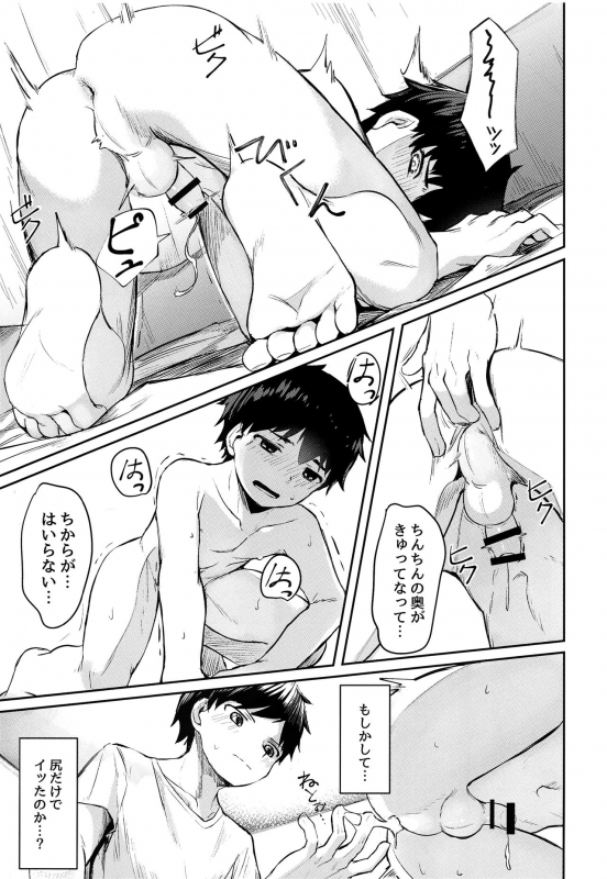 (C97) [Nisankatanso (Nayoshi)] Seikouhou_13