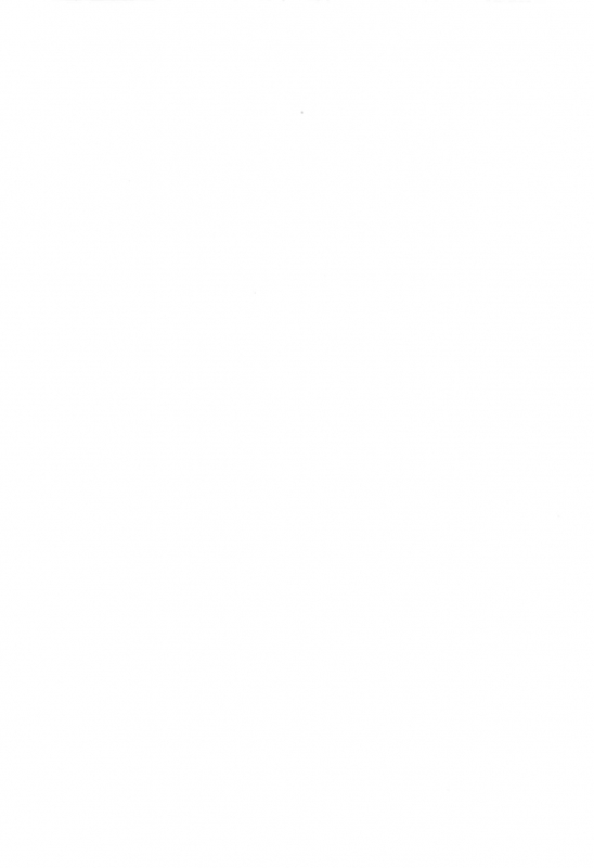 (C97) [PORYGON137 (Hidari Pory5n)] Nikoichi_02