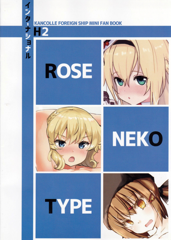 (C97) [ROSE-NEKO-TYPE (Various)] International H2 (Kantai Collection -KanColle-)_15