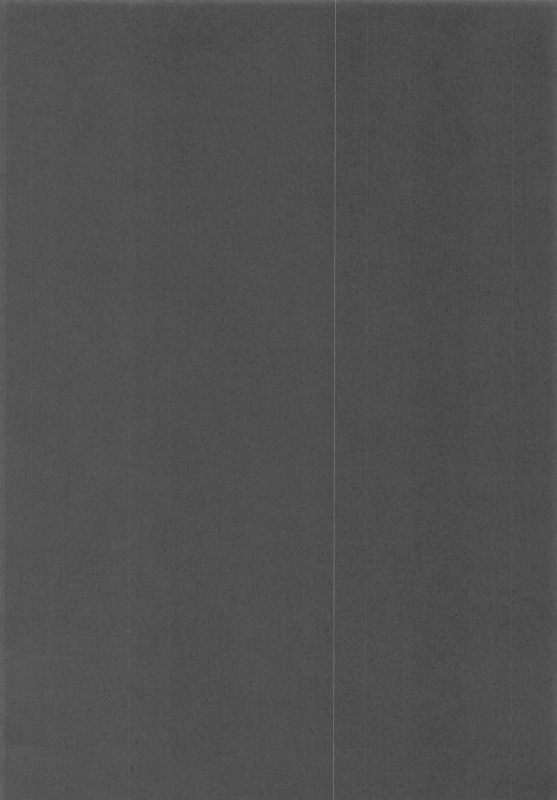 (C97) [Rorinoutage (Shimantogawa)] Dameo Kareshi no Iu Koto wa Nandemo Kiichau Yukine-san (Senki Zessh_14