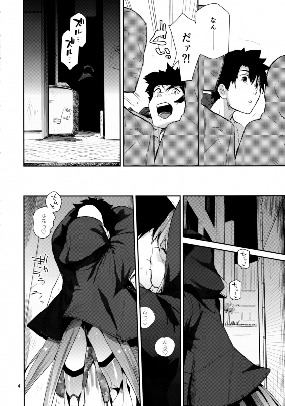 (C97) [Sarpaccio (Waira)] Melt ga Kanjinai Hon λ (FateGrand Order)_03