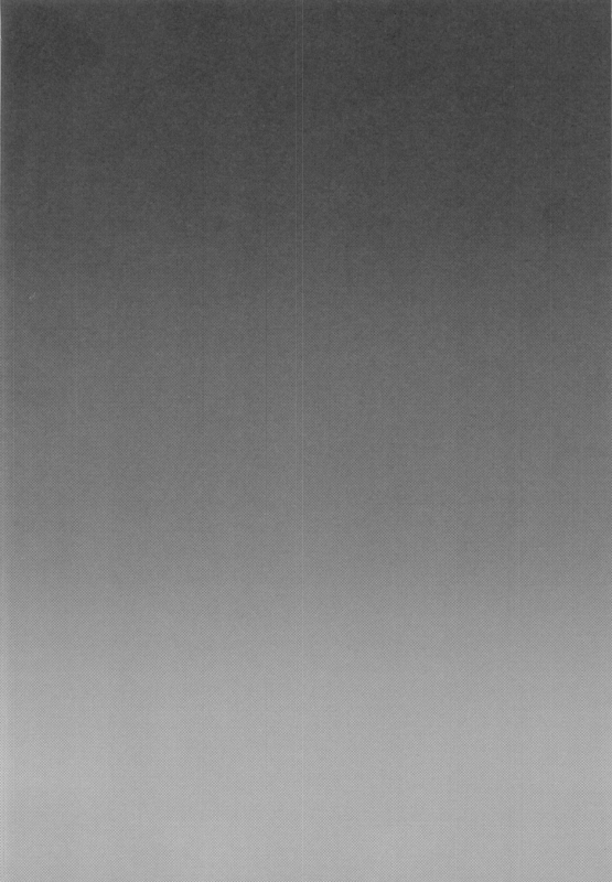 (C97) [Seki Sabato (Tsukuru)] DQN Saimin Mesu Otoshi_02