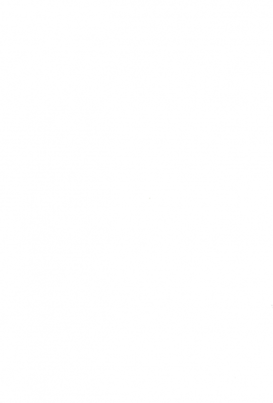 (C97) [Service Heaven (Hayashi)] Miwaku no Serval Nee-san ~Paradise~ (Kemono Friends)_26