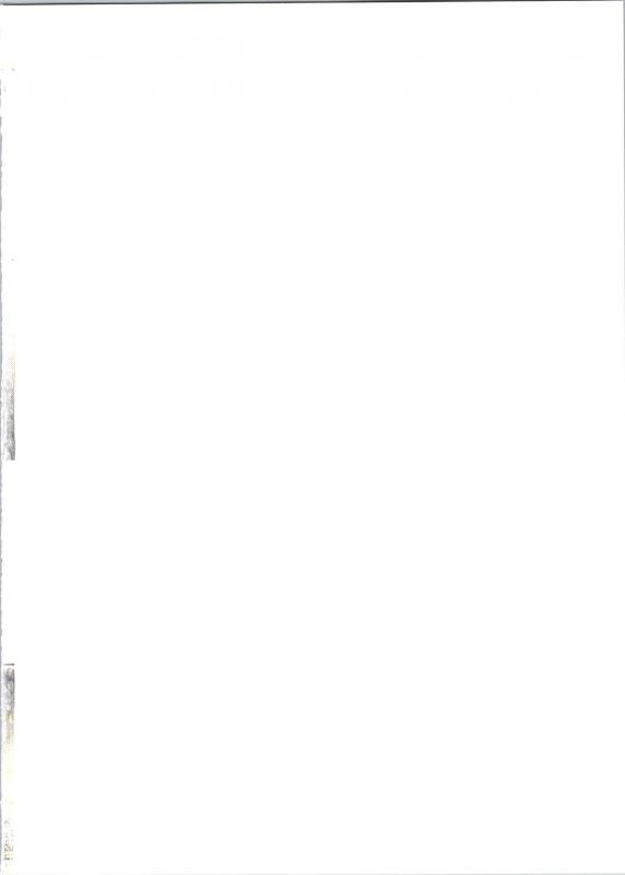 (C97) [Shinsei Lolishota (kozi, Kuzumochi)] Hobaku Shita Yuusha ni Adauchi o (The Legend of Zelda)_01