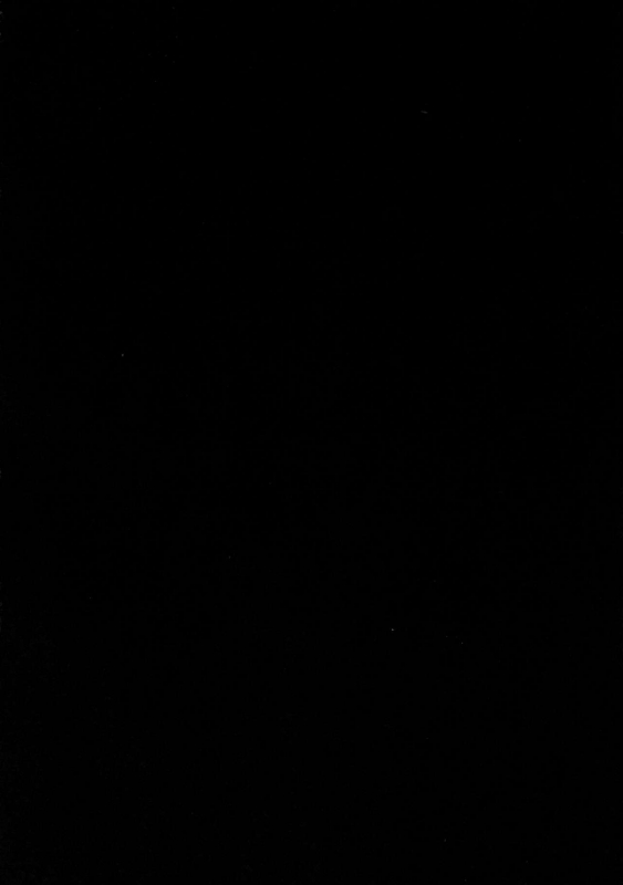 (C95) [Banana Koubou (Ao Banana)] Oni to Majo no Buta-san Master _35