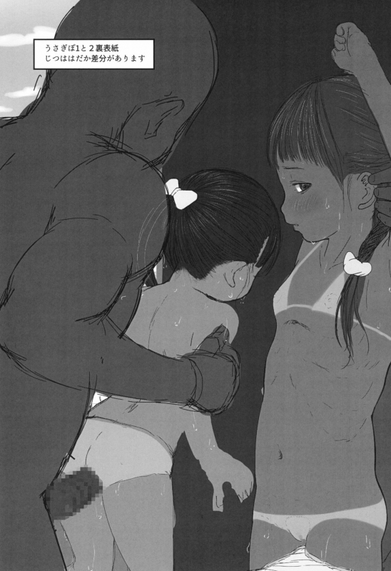 (C97) [Sutorobokonbu (Darius-kun)] Usagi Pouch 3_22