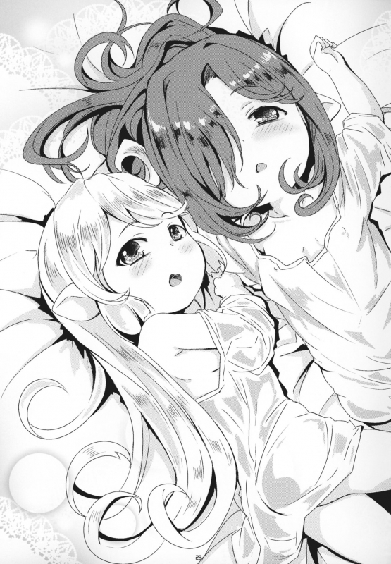 (C95) [Ginsiba. (Shieko)] Honto no Kimochi (Granblue Fantasy) [English]_27