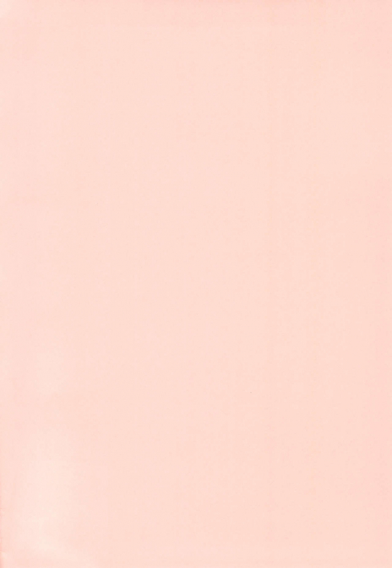 (C97) [Tori no Ya (Mashikodori)] Futari de Araikko._03