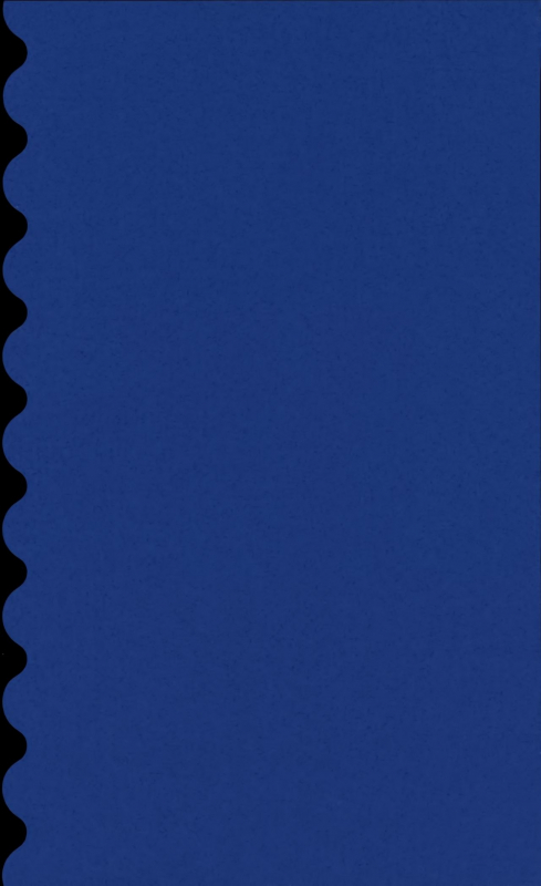 (C95) [Kaochuu Kingdom (Sisei)] Chi no Tsunagaranai Otouto 2 [English] [mysterymeat3]_02