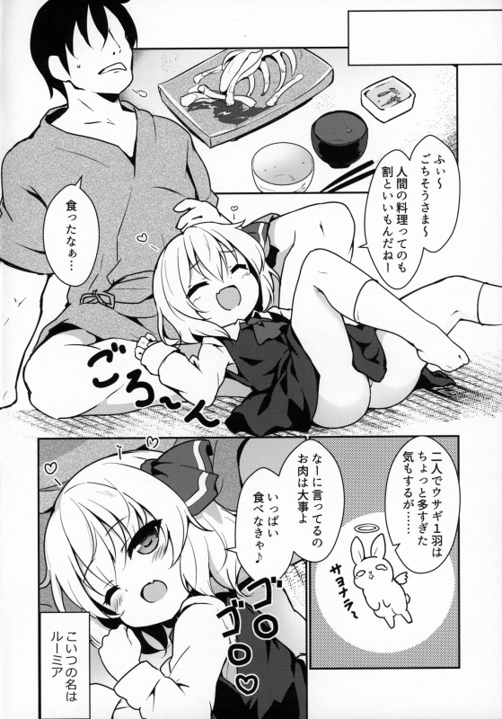 (C97) [Yumemizato (Baku P)] Kachiku no Annei (Touhou Project)_02