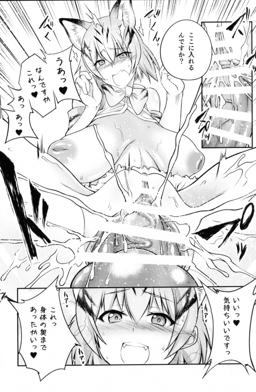 (COMIC1☆11) [Zensoku Rider (Tenzen Miyabi)] Juukan Friends (Kemono Friends)_09