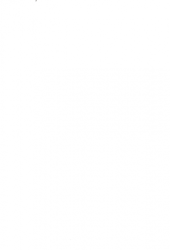 (COMIC1☆15) [Garimpeiro (Mame Denkyuu)] Hikari-chan to Ecchi (Xenoblade Chronicles 2)_22