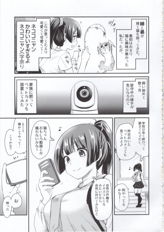 (COMITIA131) [Shin Hijiridou Honpo (Hijiri Tsukasa)] Pet Mimamori Camera ni Ane to Otouto no Sex ga Utsuttet_03